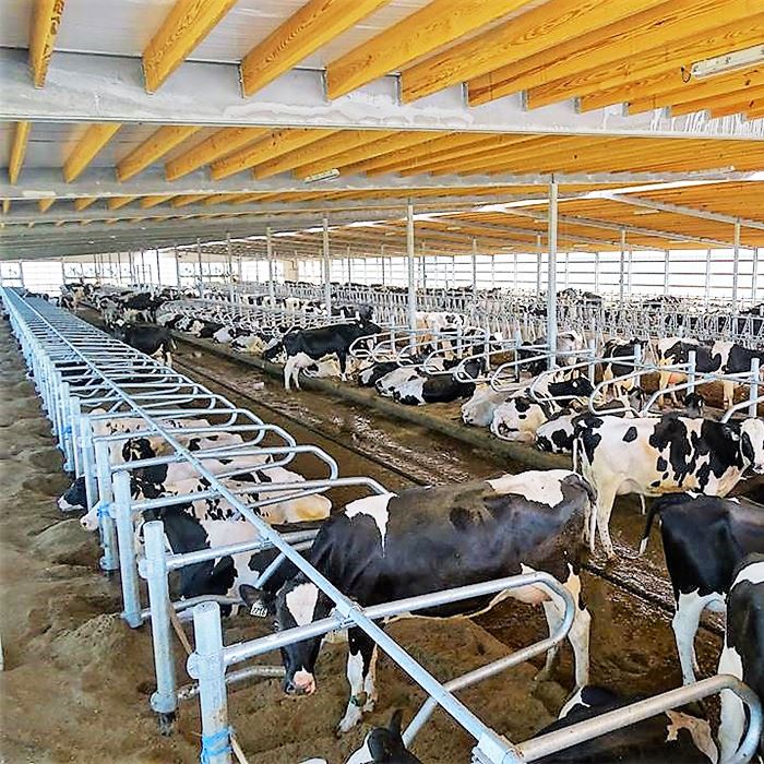 Livestock Equipment