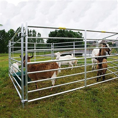 Cattle Corral Panels