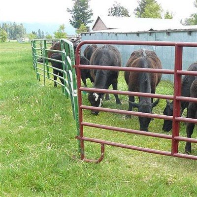 Cattle Fence Panels