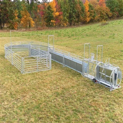 Hot Galvanization Hoof Trimming Chute for Sheep