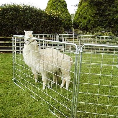 Sheep Wire Panels